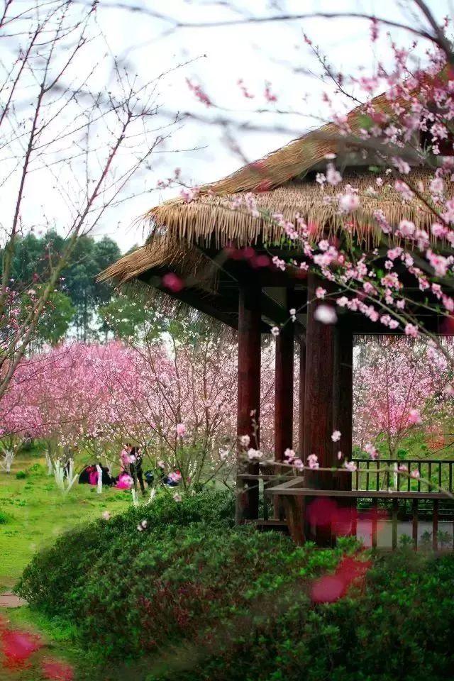 为什么有人讨厌吃鱼,解决你的疑惑