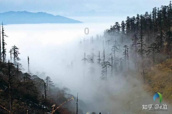 我前两年去问过了,他说要把以前的全补上,而且政府出的那一半也要自己出,所以当时就没买?-有问必答平台