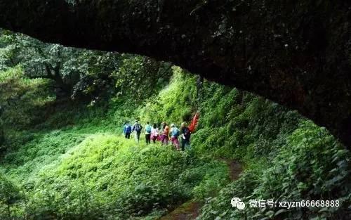 JKL大瓜被曝光，知名人士证实，他去年被拘留导致无法参加亚运会